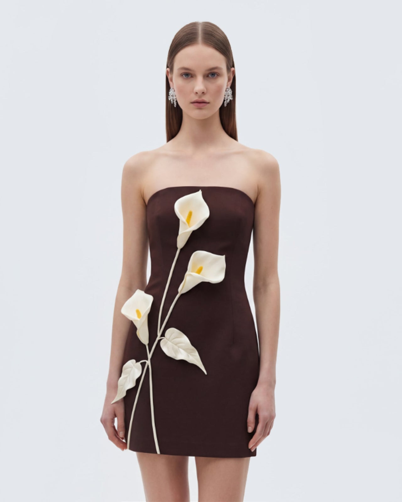 Strapless Floral Appliqué Dress - Dark Brown