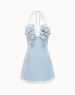 Flower Embroidered Mini Dress - Blue