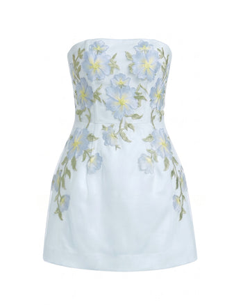 Floral Embroidered Strapless Corset Mini Dress - Light Blue